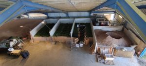 558223237 31680251294922944 7512962510205921098 n - Fleurs CBD