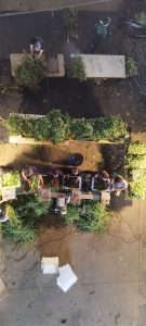 559433434 31680250614923012 9179883300668027729 n - Fleurs CBD