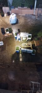 569915583 31934550196159718 3724601411917991116 n - Fleurs CBD