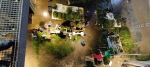 570046232 31934550612826343 8833493278962585395 n - Fleurs CBD