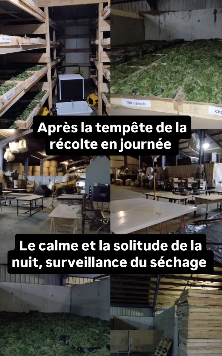 Screenshot 2025 11 10 at 08.41.06 - Fleurs CBD