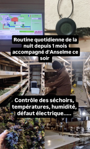 Screenshot 2025 11 10 at 13.35.09 - Fleurs CBD